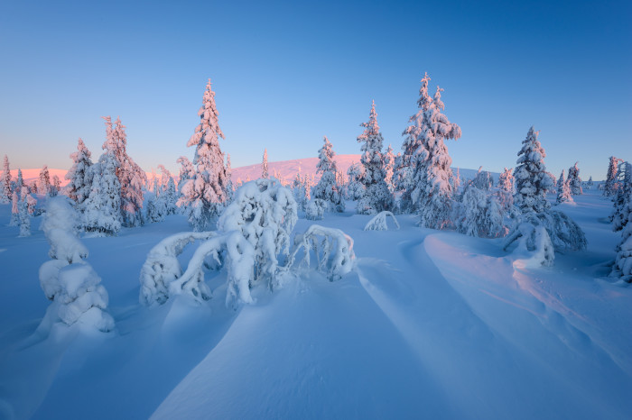 Winterliches Lappland