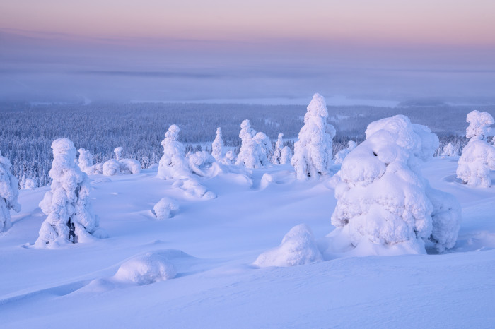 Winterreise Lappland