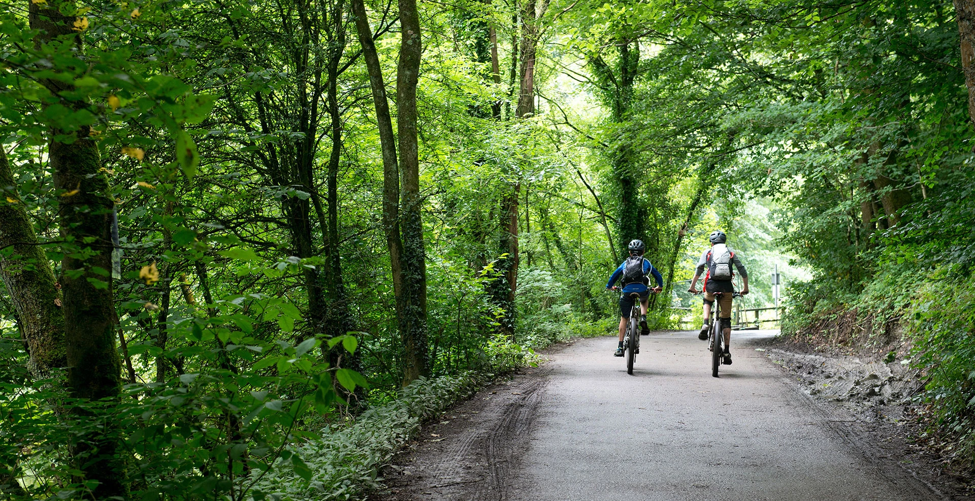 Leisure - Cycling through a forest