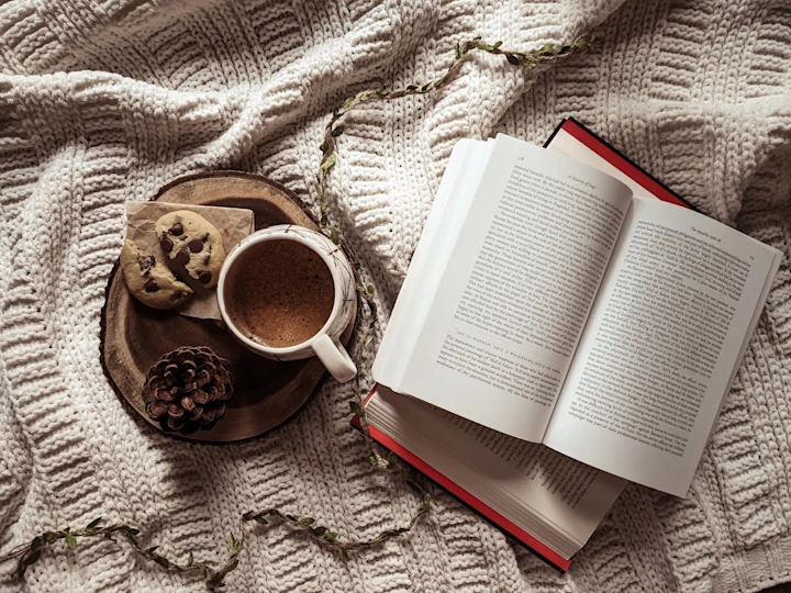 A mug of hot chocolate, broken cookie and pine cone on a plate next to an open book on a blanket. 