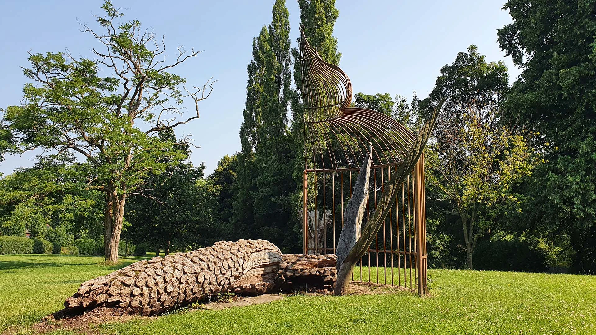 Sculpture in Vernon park, huge log carved to look like it might have scales lying next to an upright metal scultplure to look like a tail or wings all lying underneath what looks like half a mental birdcage.