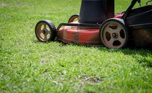 A lawnmower on a grass lawn.