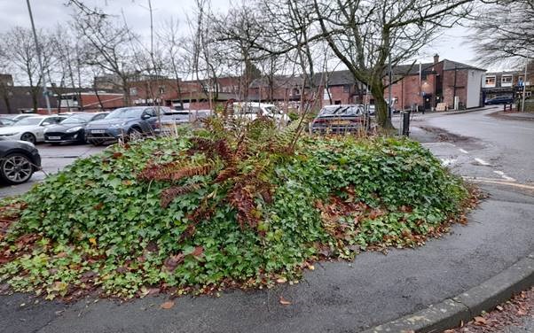 News - Cheadle old flower beds We Love Stockport