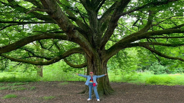 A local woman, standing underneath an Oak tree, arms outstretched