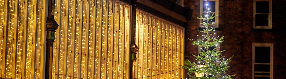 Market hall lights and Christmas tree