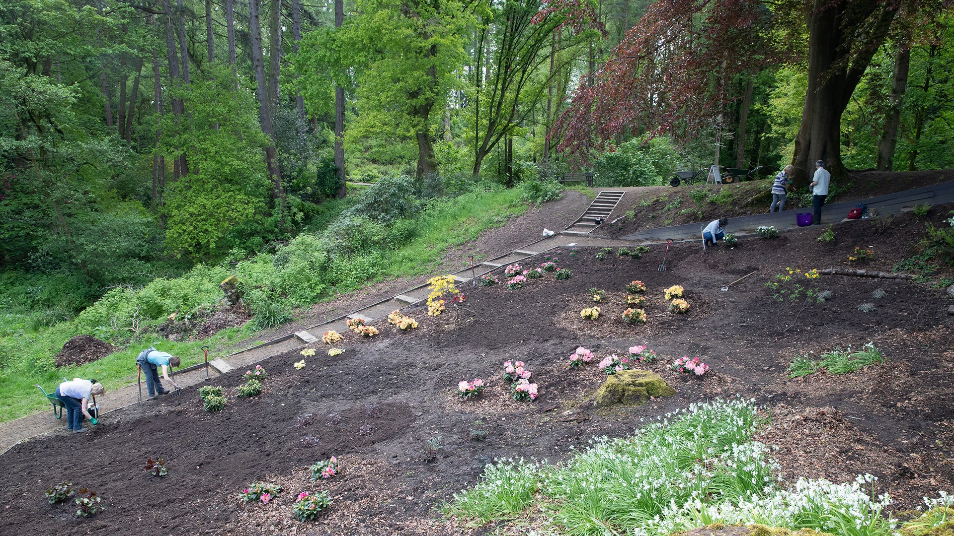 Museums - Friends of Bramall Hall and Park - planting flowers