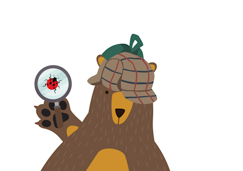 Join Nevill T. Bear, beast and bug detective, at Bramall Hall on this new spotting trail