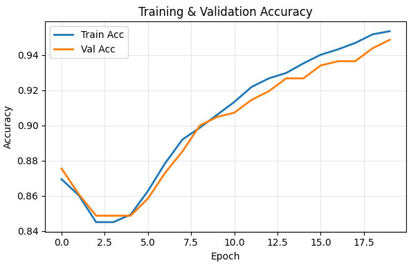 Neural Network From Scratch Part 2: Training and Validation Graph