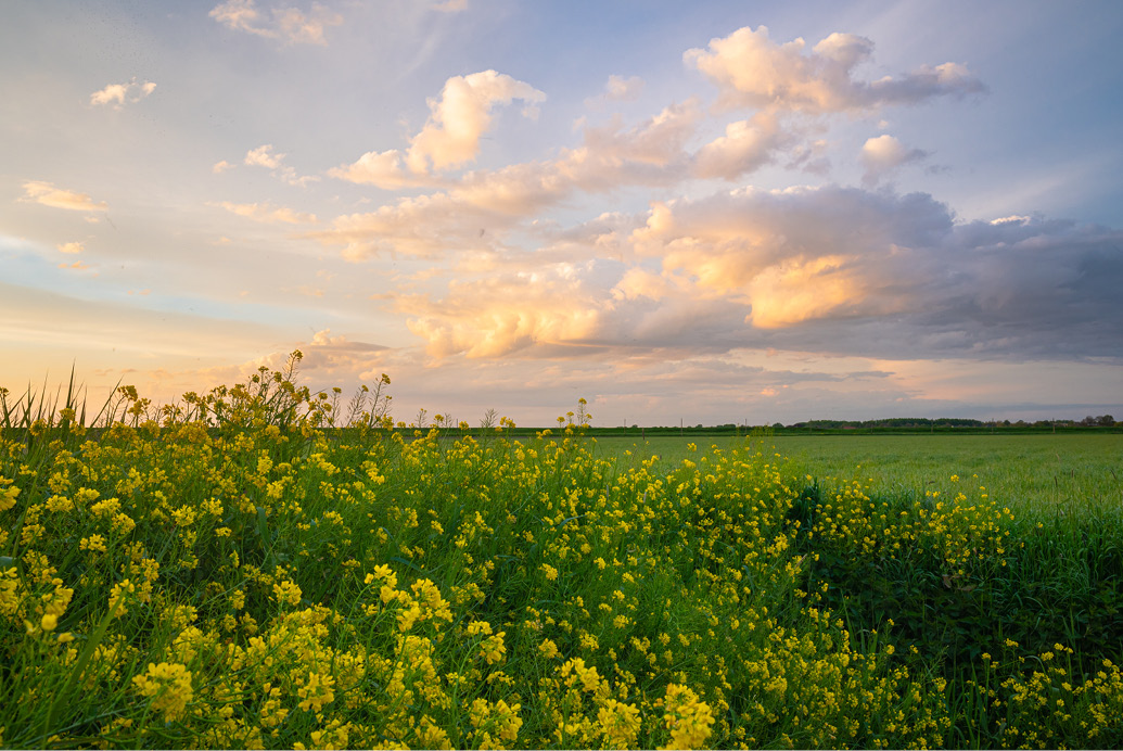  Stay updated with our member newsletter image