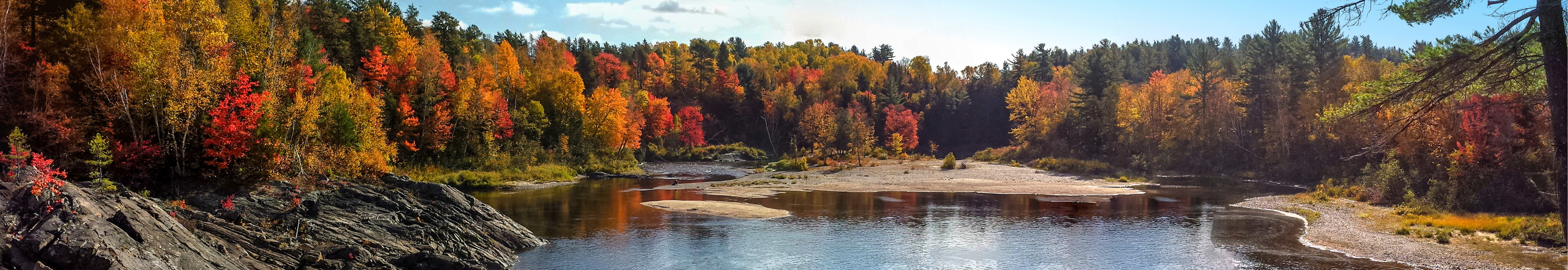 Read the latest Employer Quarterly newsletter image