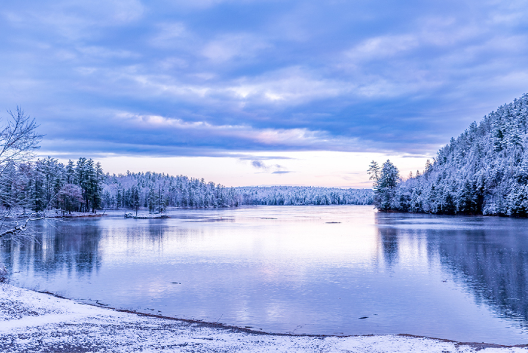  Stay updated with our member newsletter image