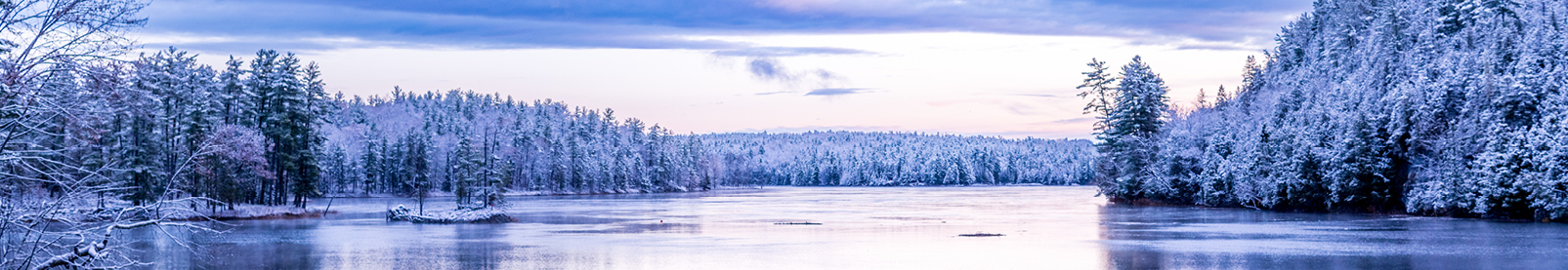 Read the latest Employer Quarterly newsletter image