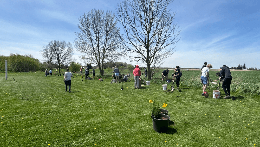 A group of people out in a grassy field planting trees