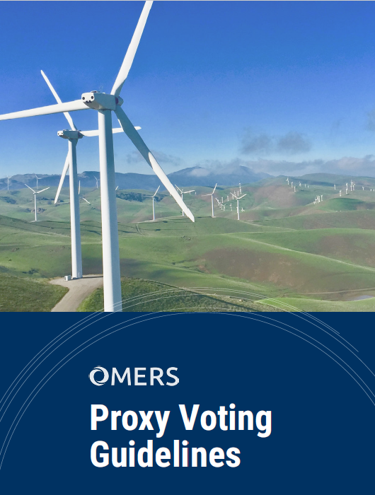 Cover of the proxy voting guidelines with wind turbines in a field.