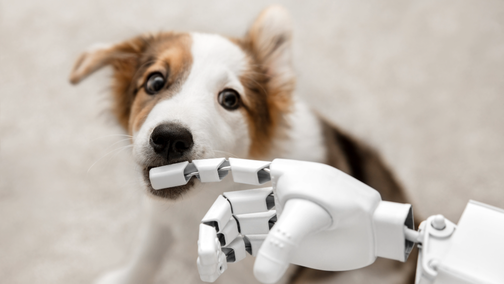 [object Object] image