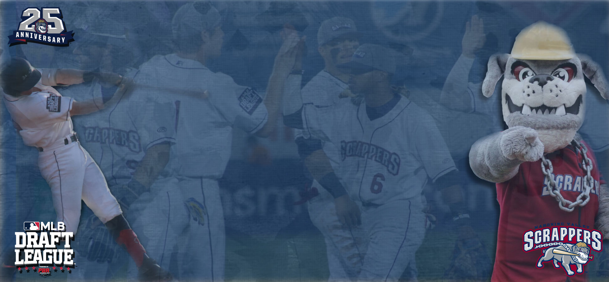 Fernandez and Williams Selected for MLB Draft League Rosters - Nova  Southeastern University Athletics