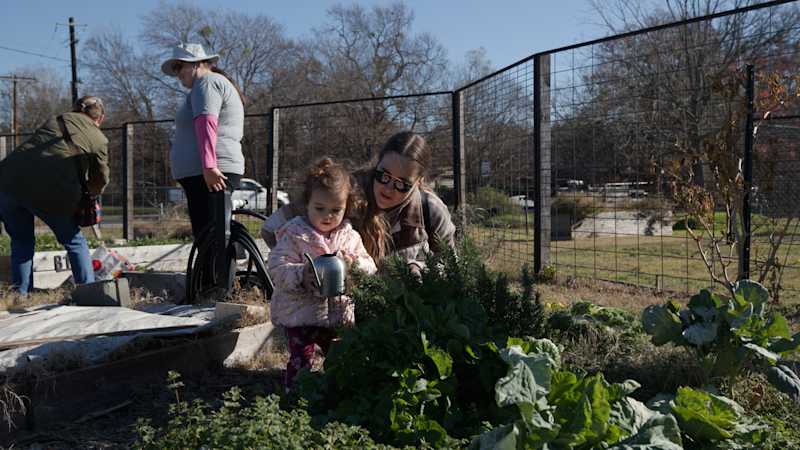 garden story photo 2