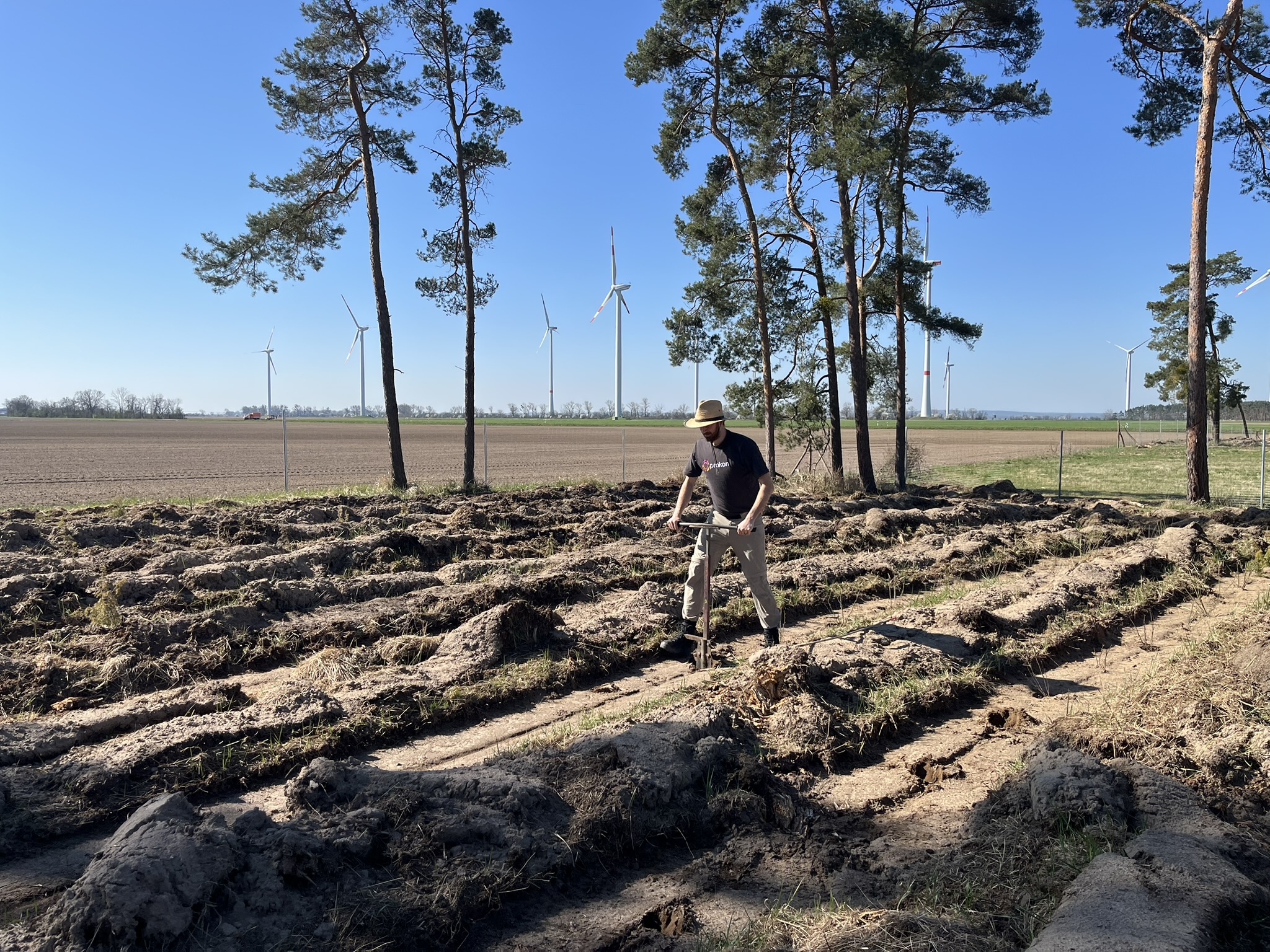  Prokon unterstützt bei der Pflanzaktion in Koßdorf
