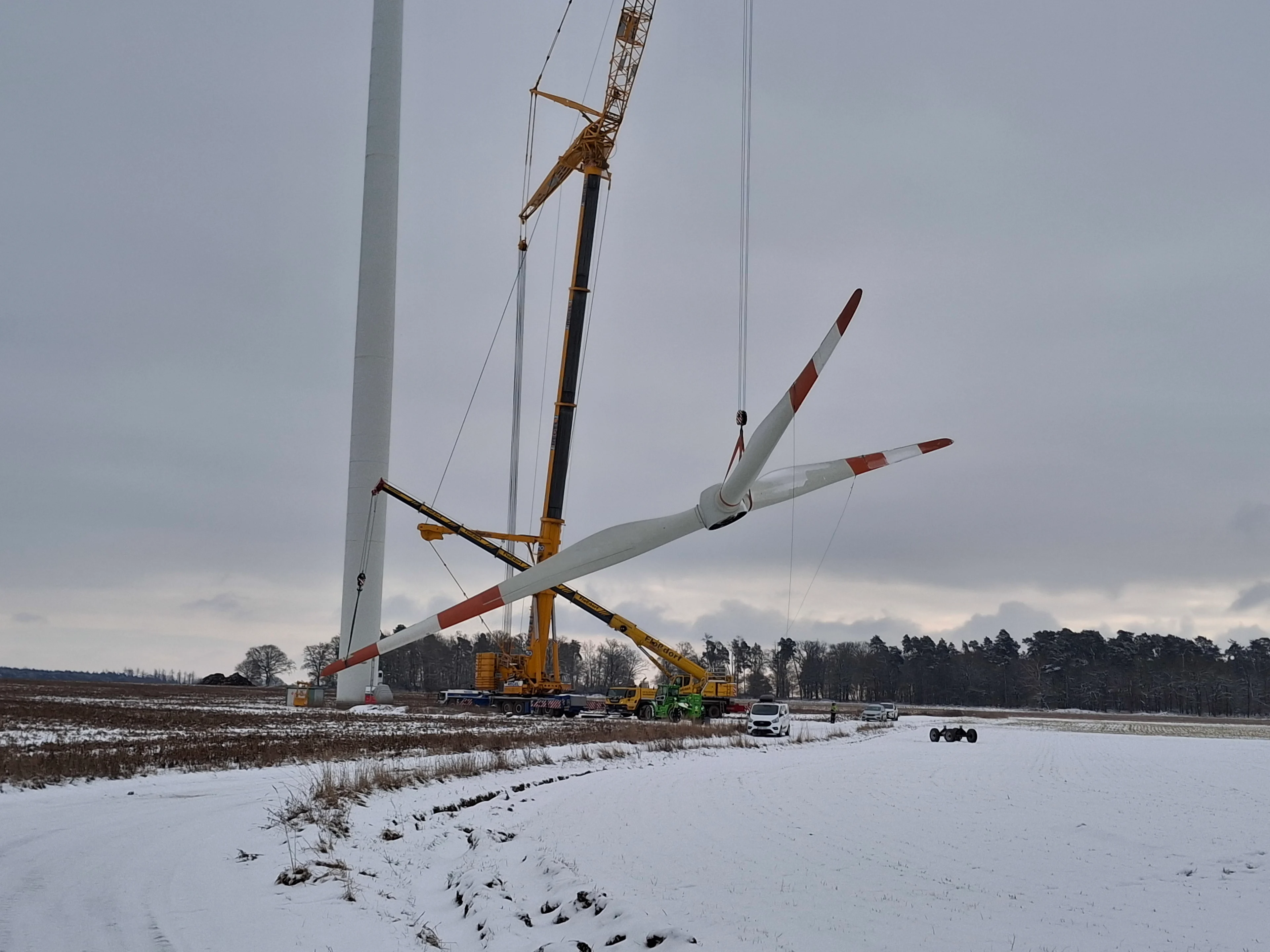 Rückbau Fleetmark Bild 6