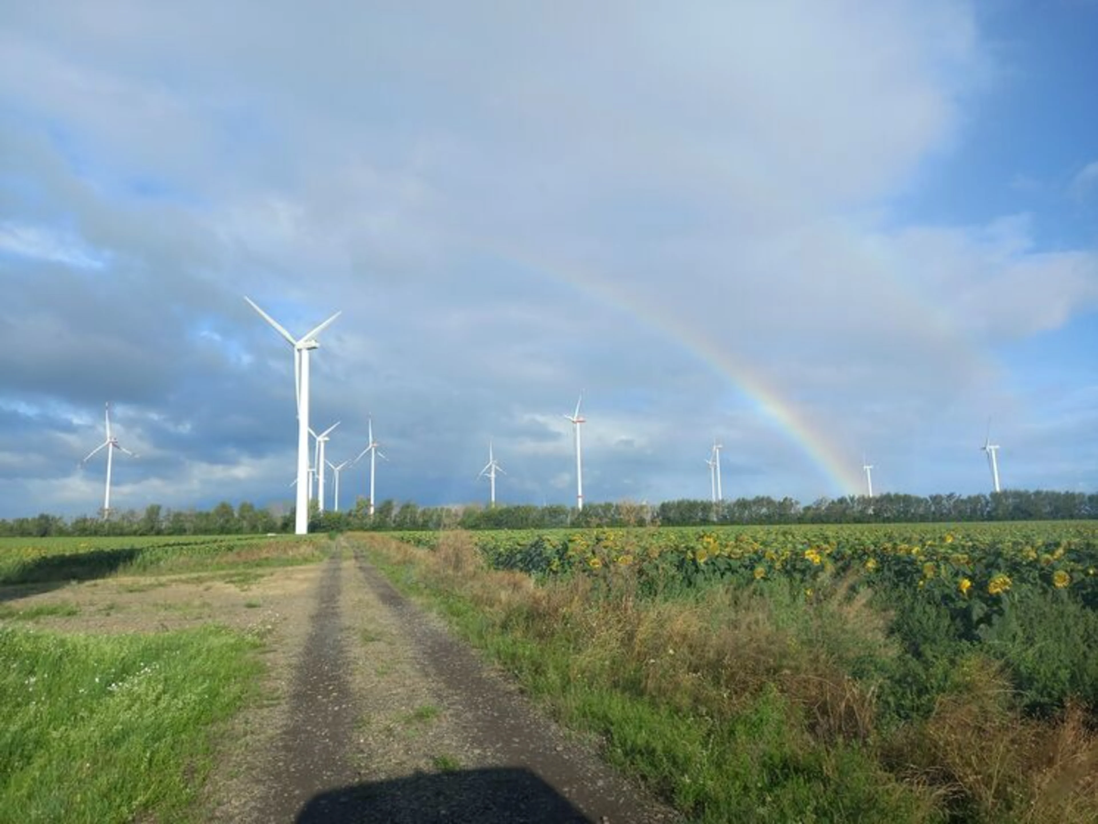 Blick auf den Windpark Ihlewitz mit Regenbogen