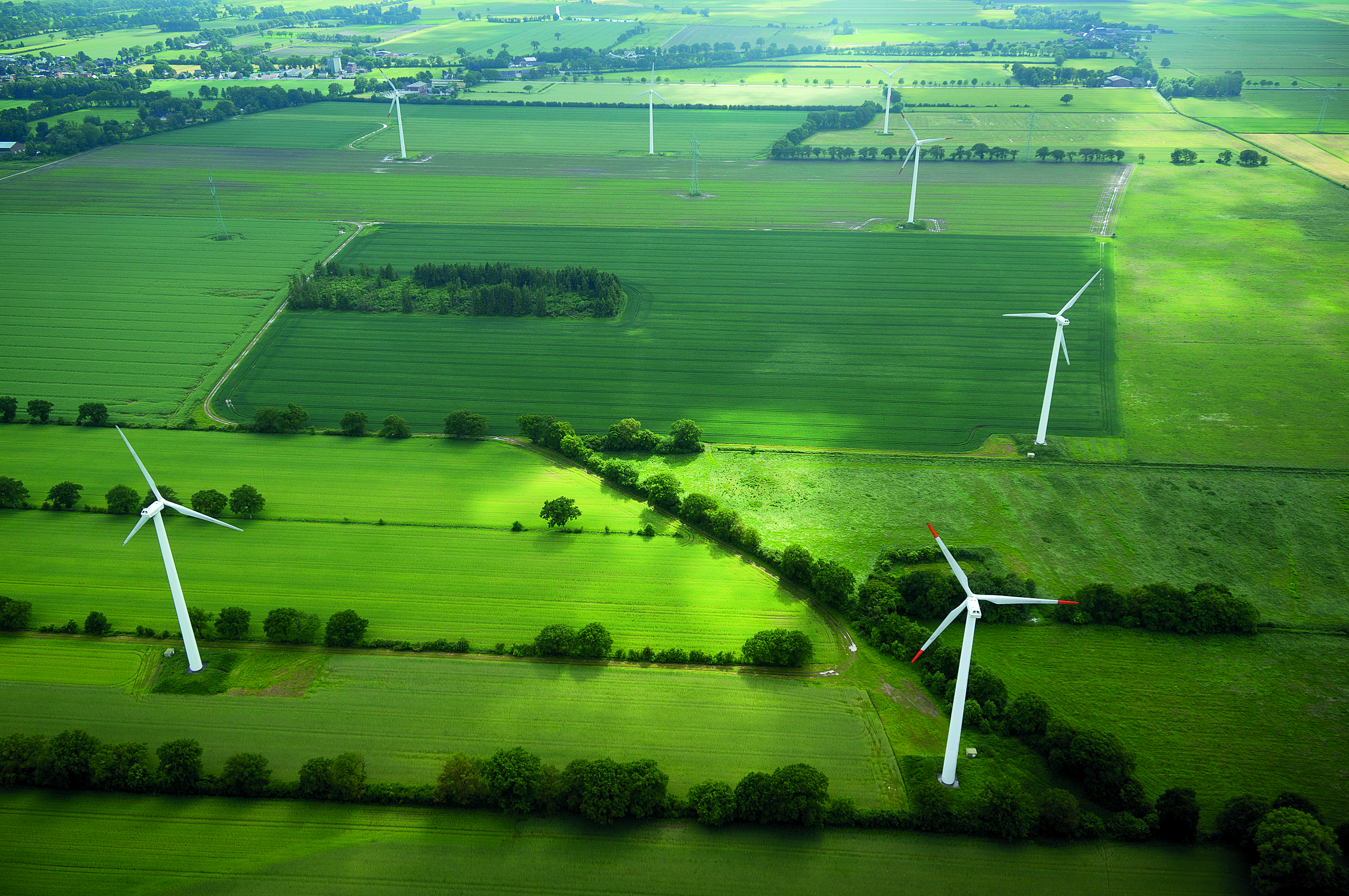 Wind farm on a green meadow