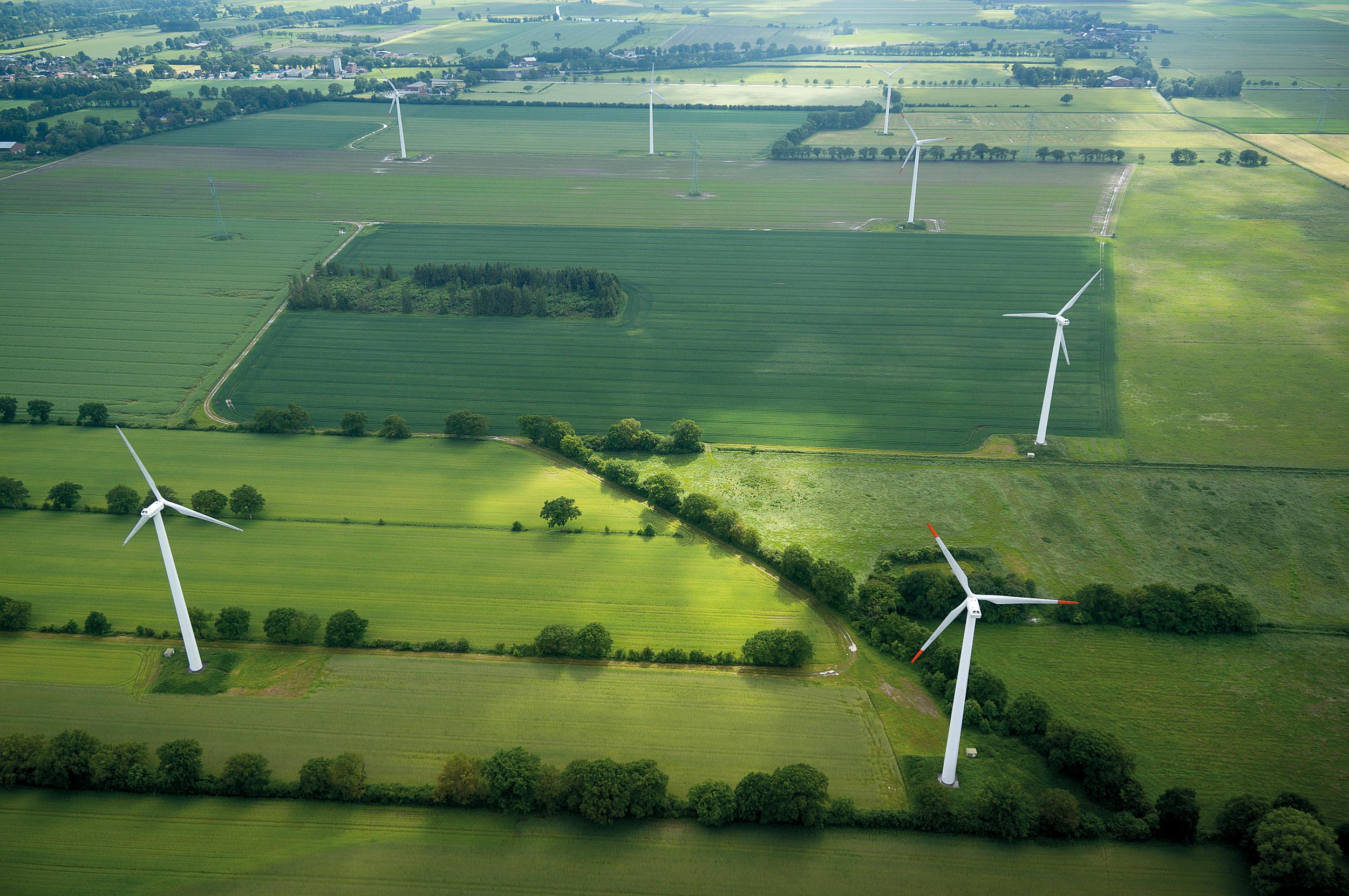 Windpark auf einer grünen Wiese