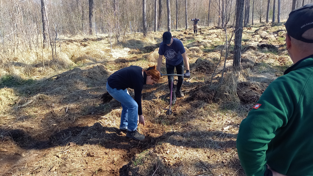 Prokon bei der Pflanzaktion in Koßdorf