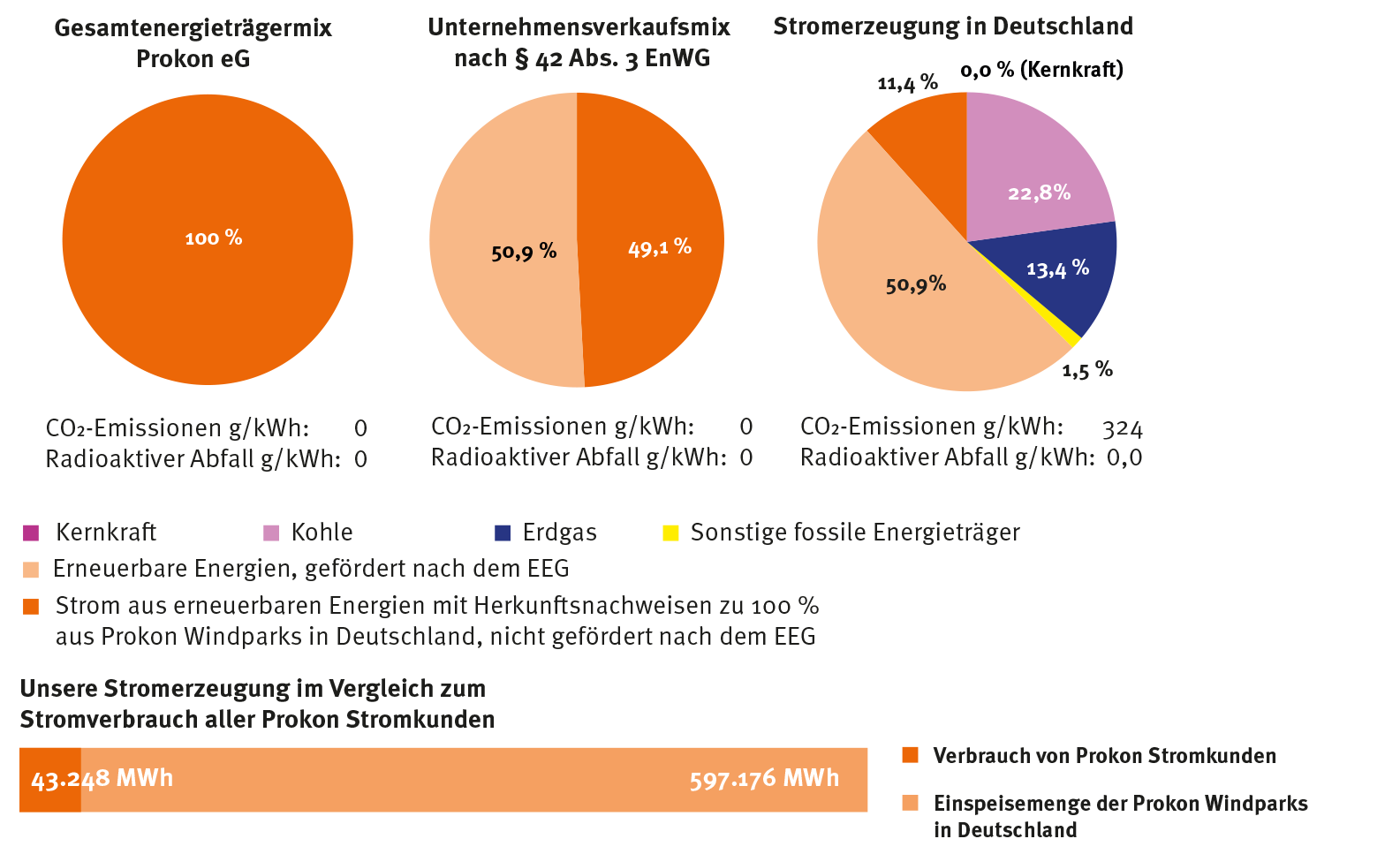 Stromkennzeichnung 2024