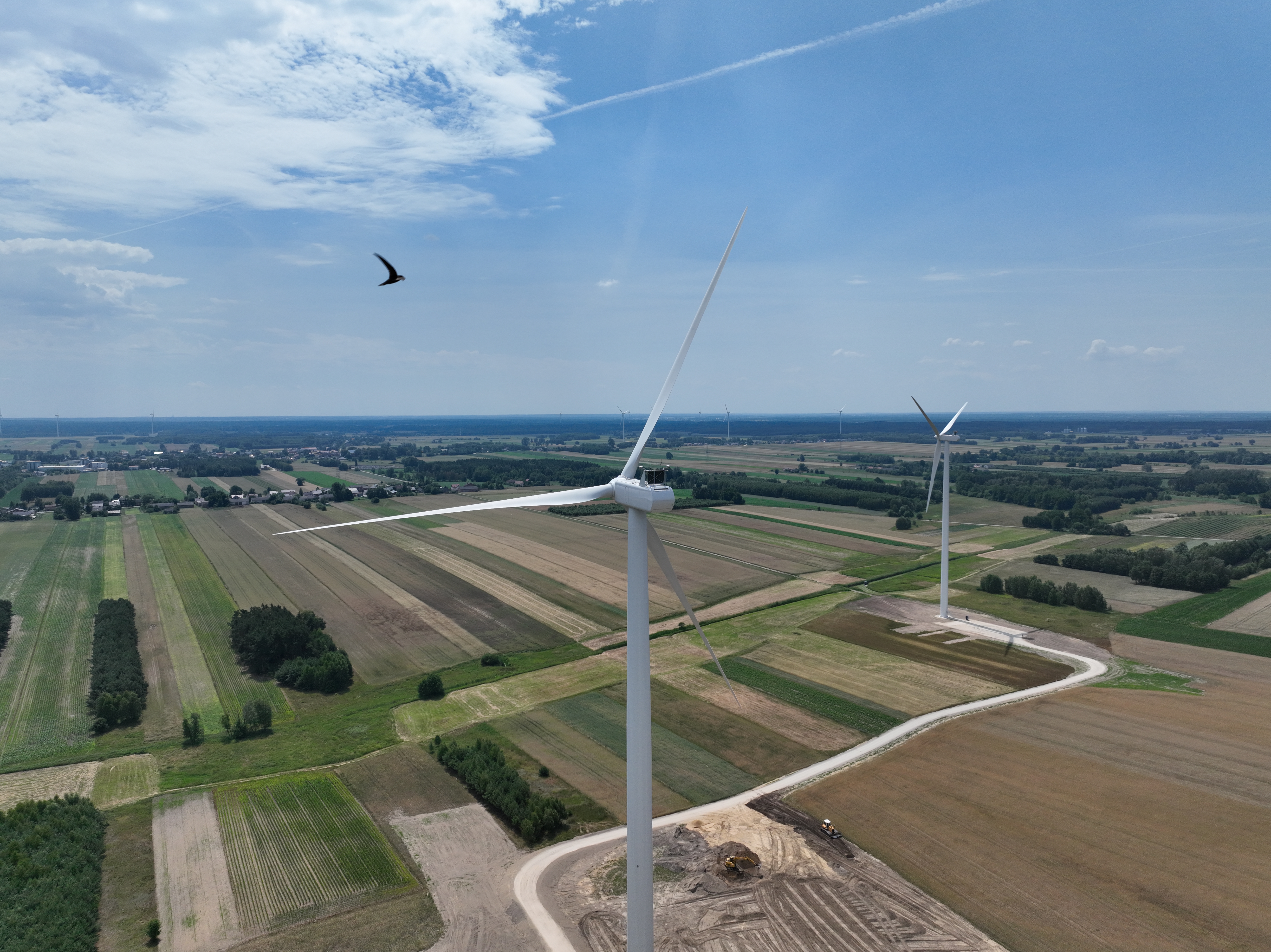 Facts & Myths: Wildlife