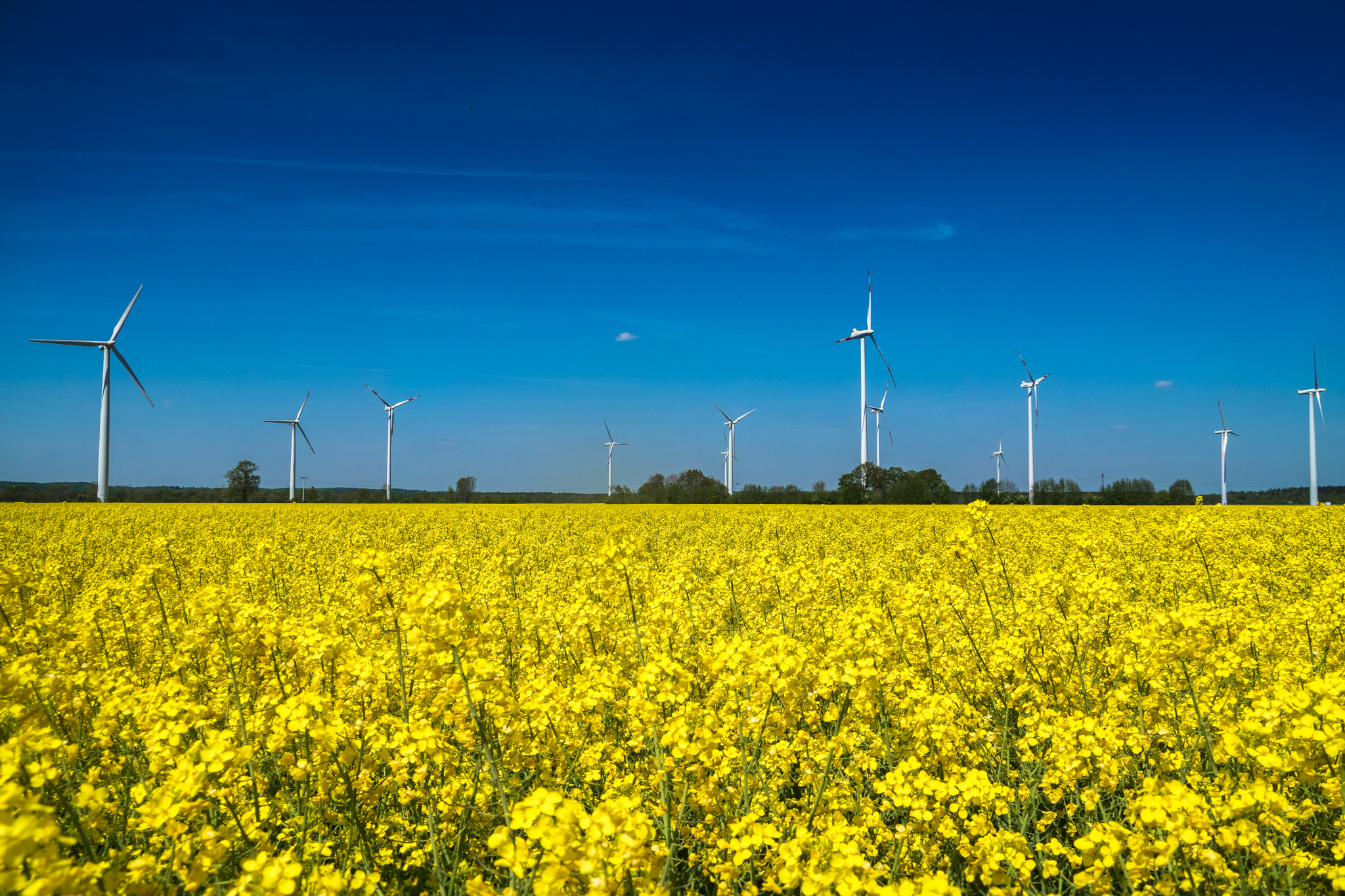 Images of the construction and operation of the Quarnstedt-Störkathen wind farm: Image 1