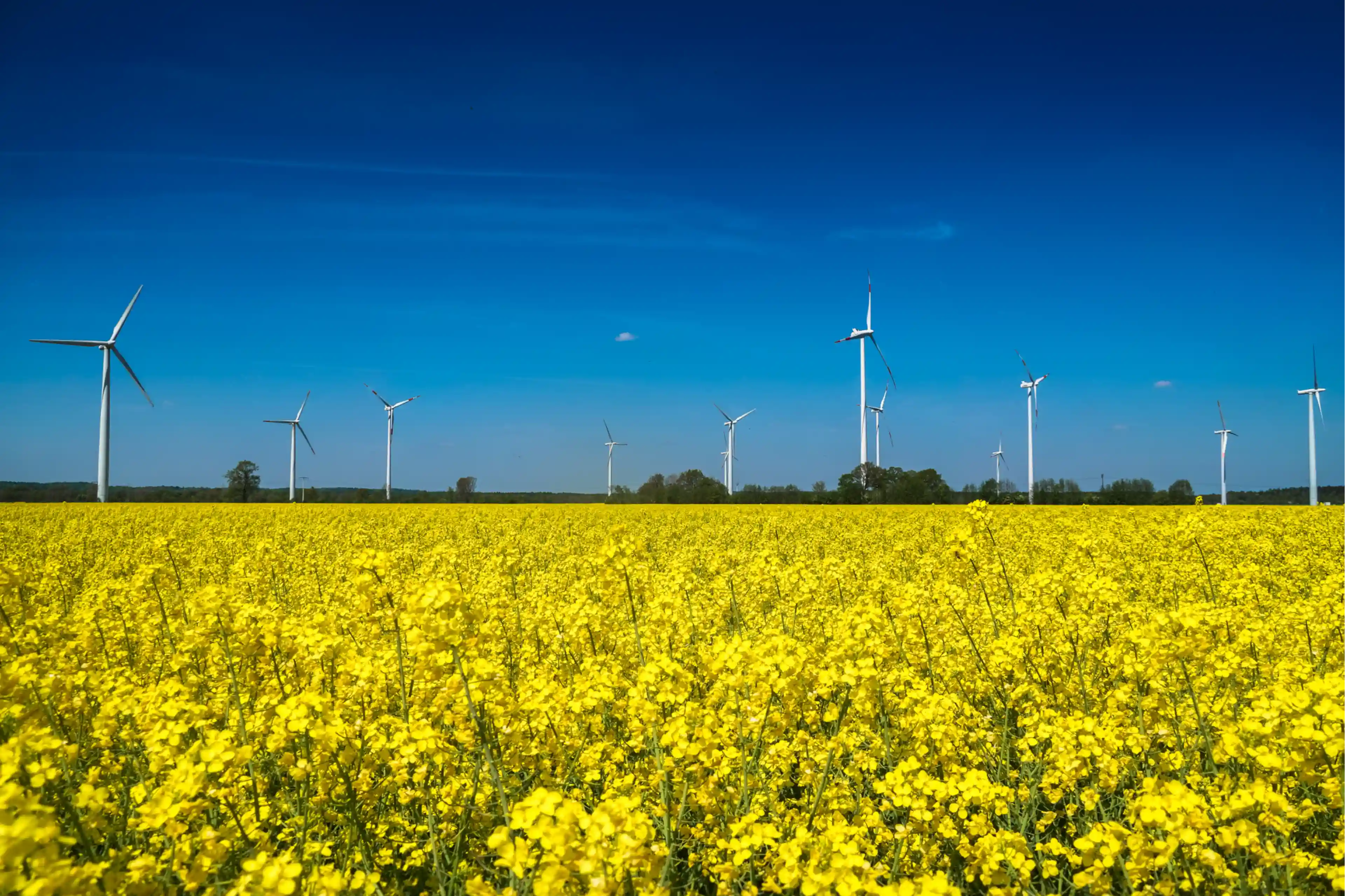 Images of the construction and operation of the Quarnstedt-Störkathen wind farm: Image 1