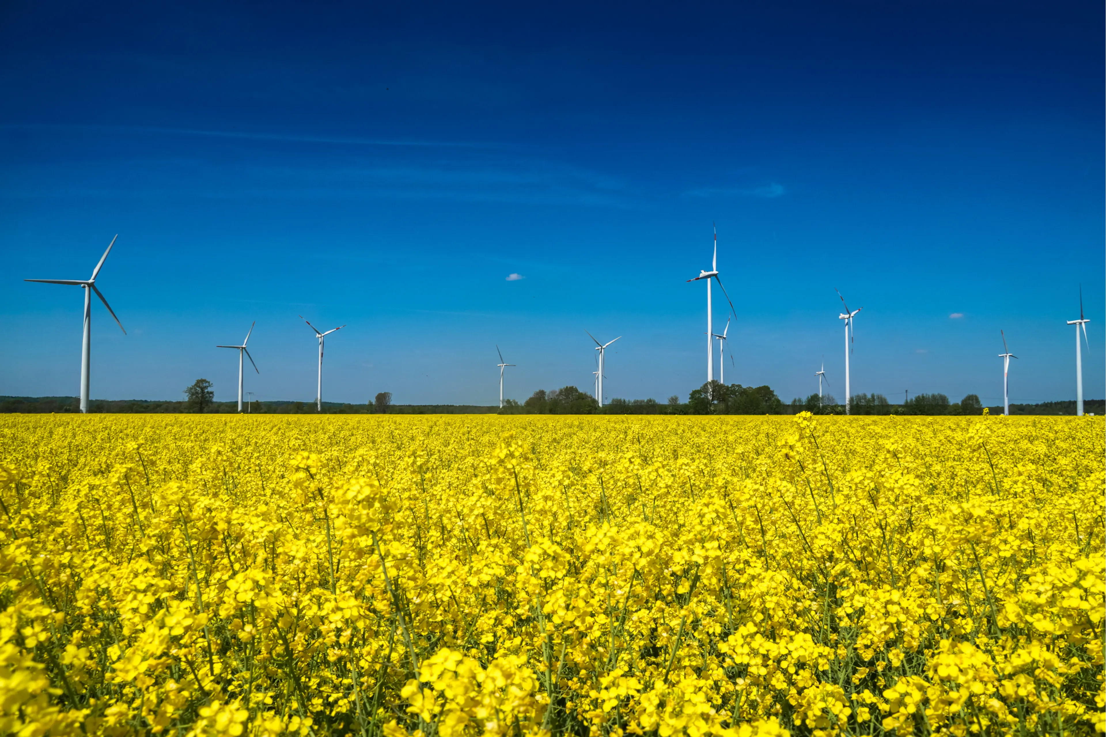 Images of the construction and operation of the Quarnstedt-Störkathen wind farm: Image 1