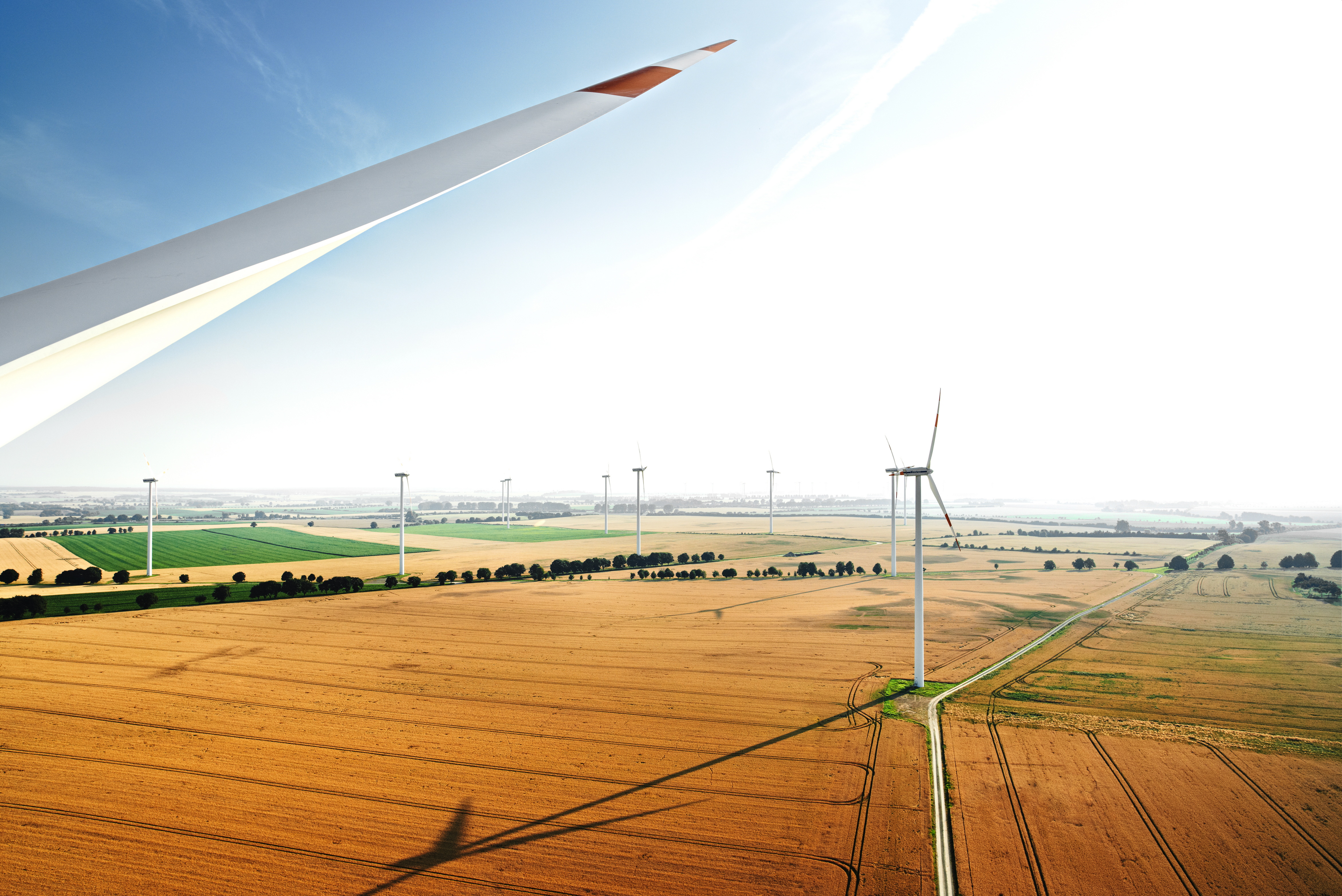 Wind farm in brilliant sunshine in a field with wind turbine blades in the foreground and numerous wind turbines in the background.