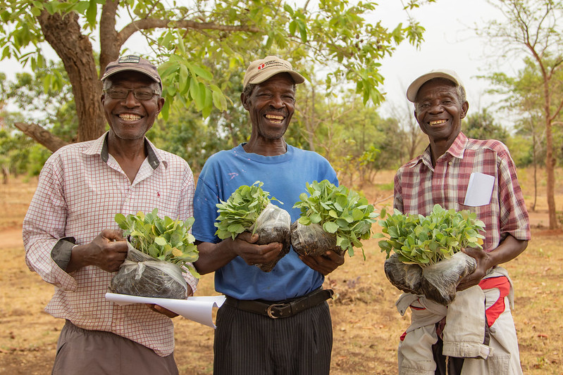 Market Research 2024