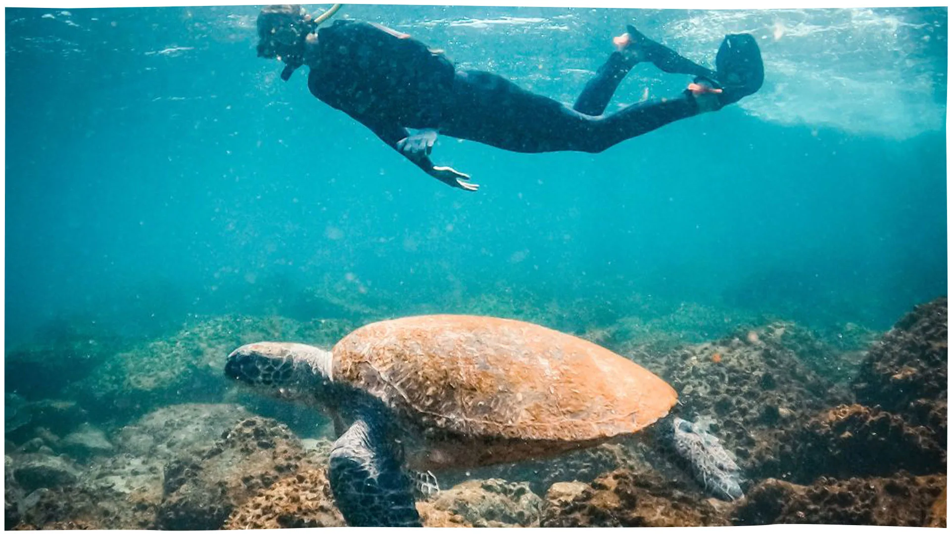 Snorkeling at Mudjimba Island with Sunreef