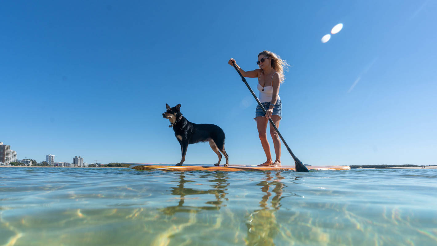 Stand Up Paddleboarding at Cotton Tree
