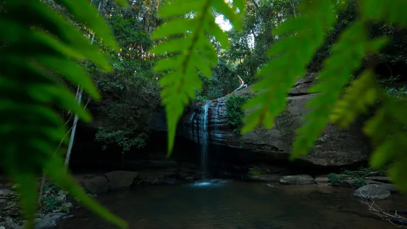 Buderim Forest Waterfalls (Serenity Falls), Buderim. Credit: www.thewanderinglens.com