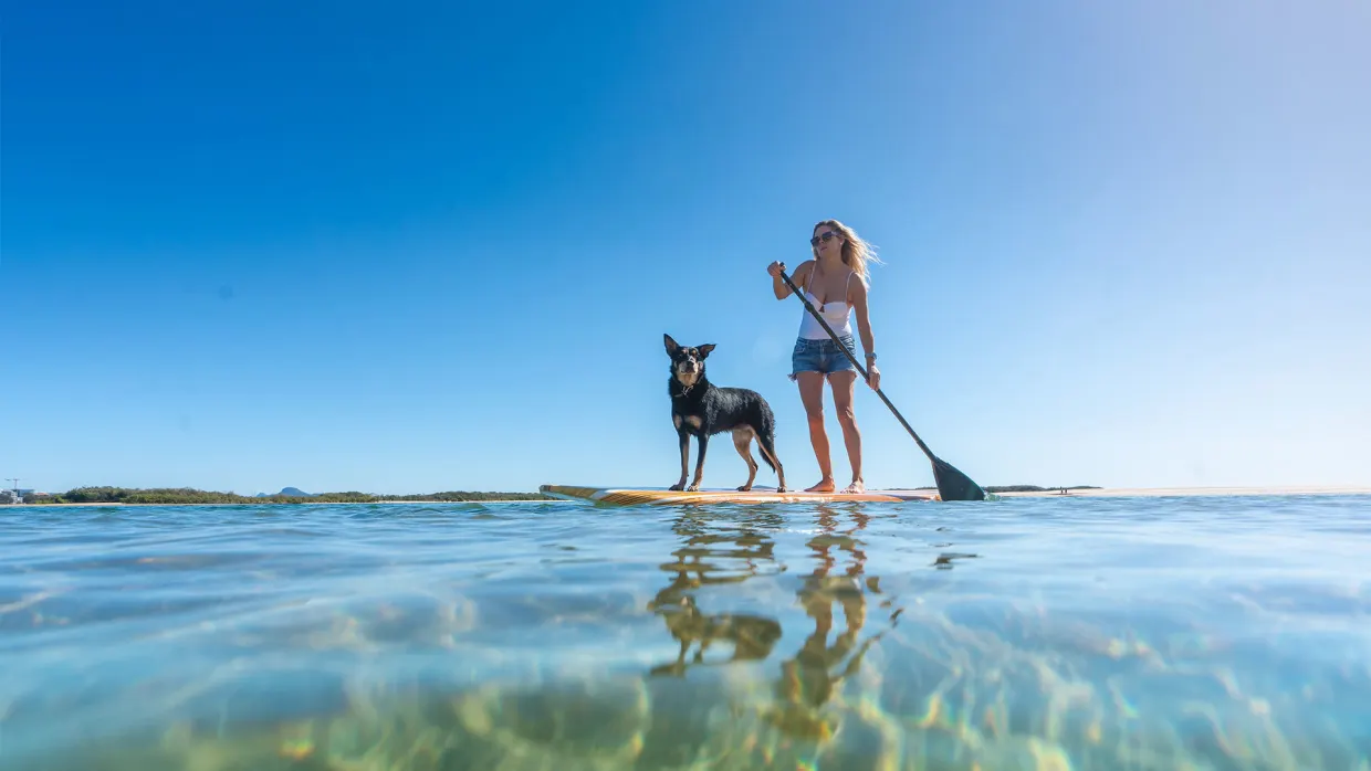 Stand up paddle board at Cotton Tree