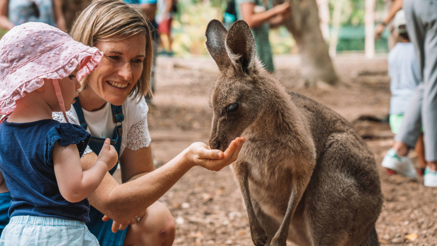 Day two: Australia Zoo