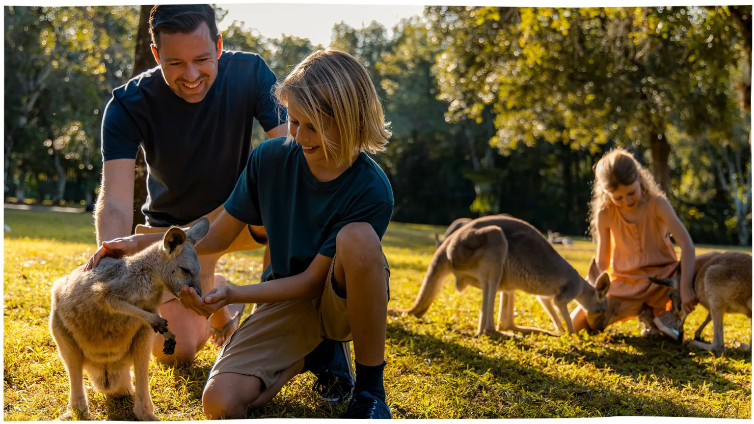 Australia Zoo, Beerwah