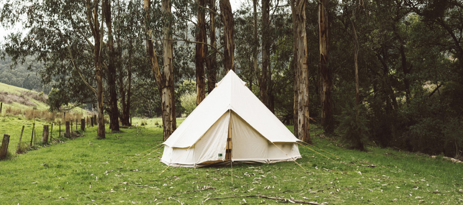 The 8 best camping for camping rookies - Visit Sunshine Coast