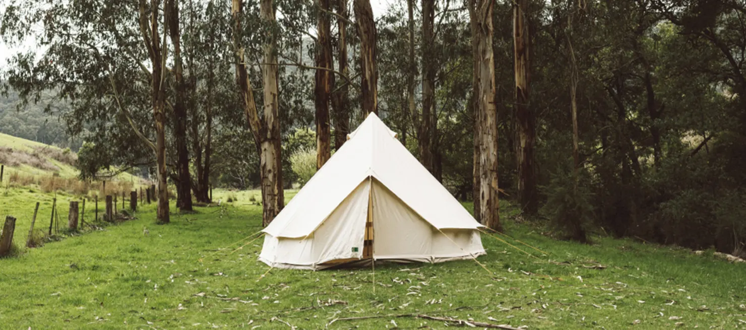 Camping on the Sunshine Coast