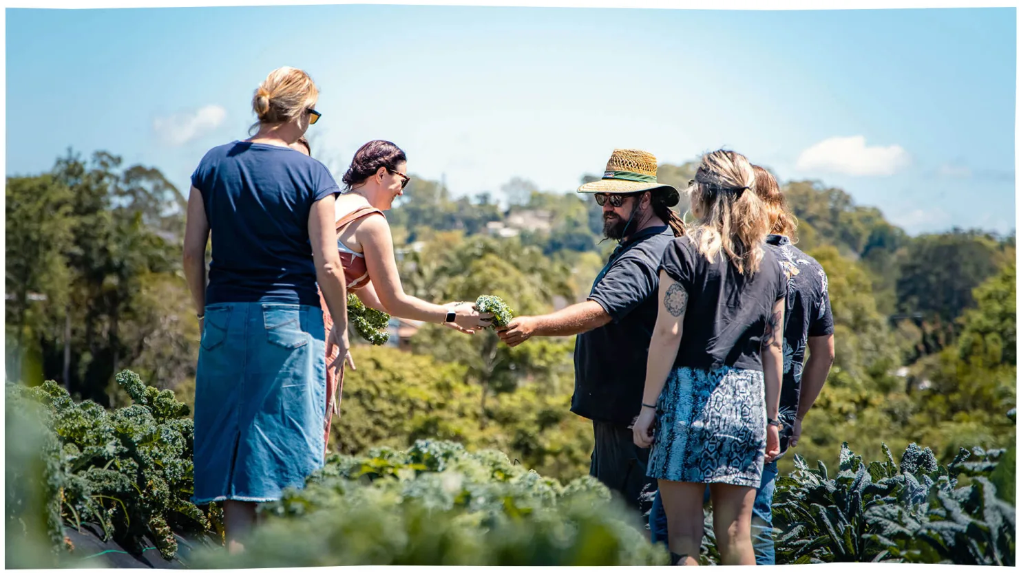 Good Harvest - Woombye