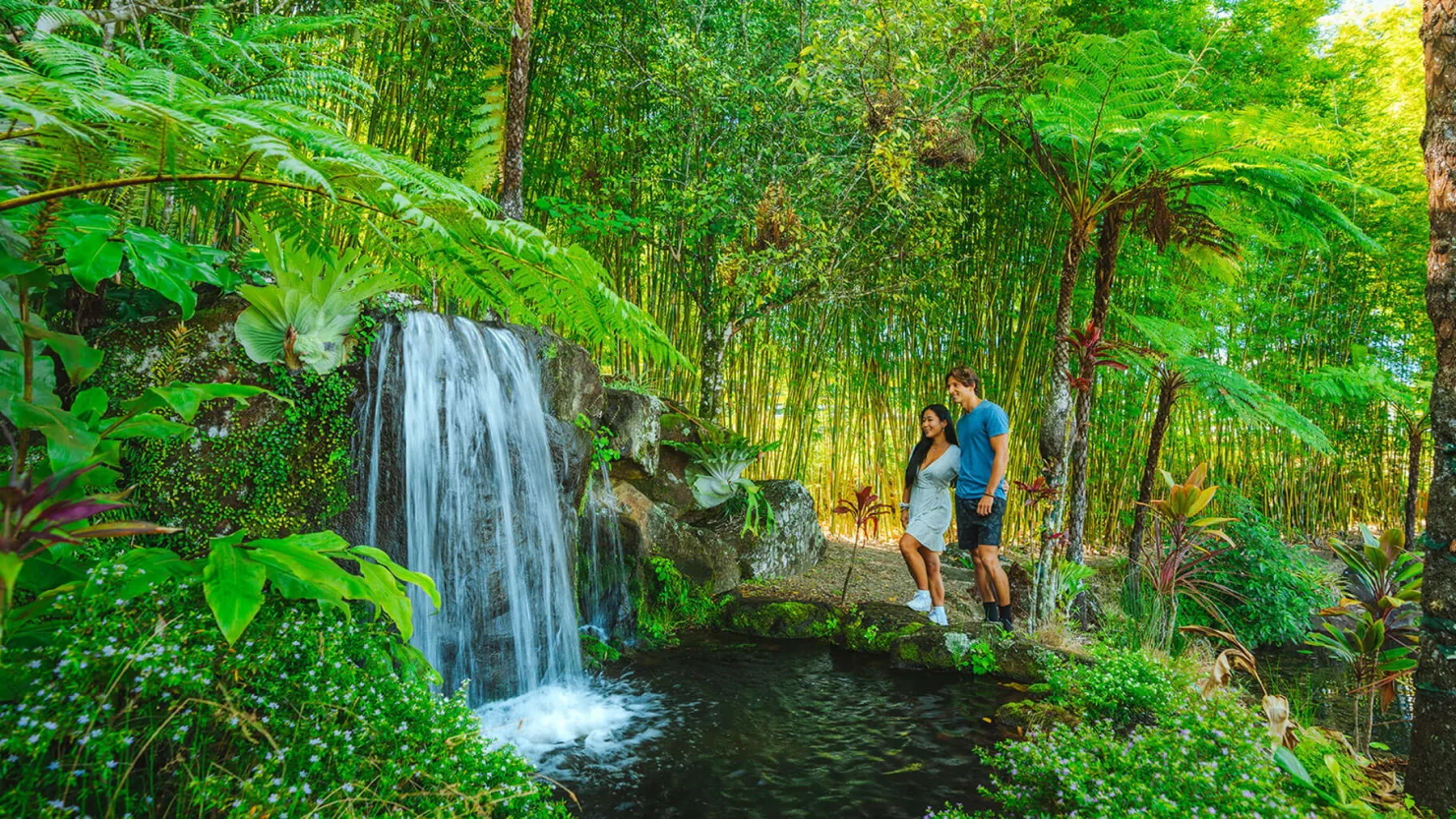 Maleny Botanic Gardens, Credit: TEQ