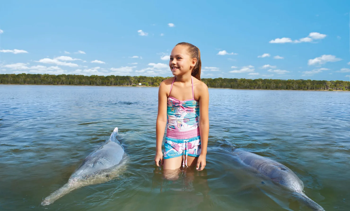 Tin Can Bay dolphins and young child