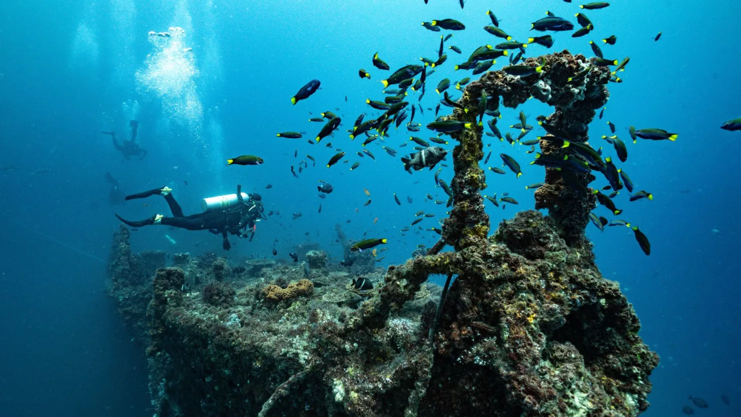 HMAS Brisbane.  Credit: Ste @steunderwater