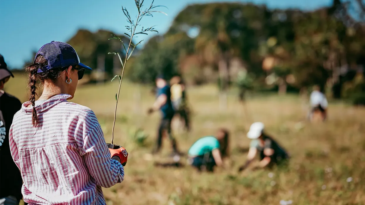 Tree planting day in Cooroy