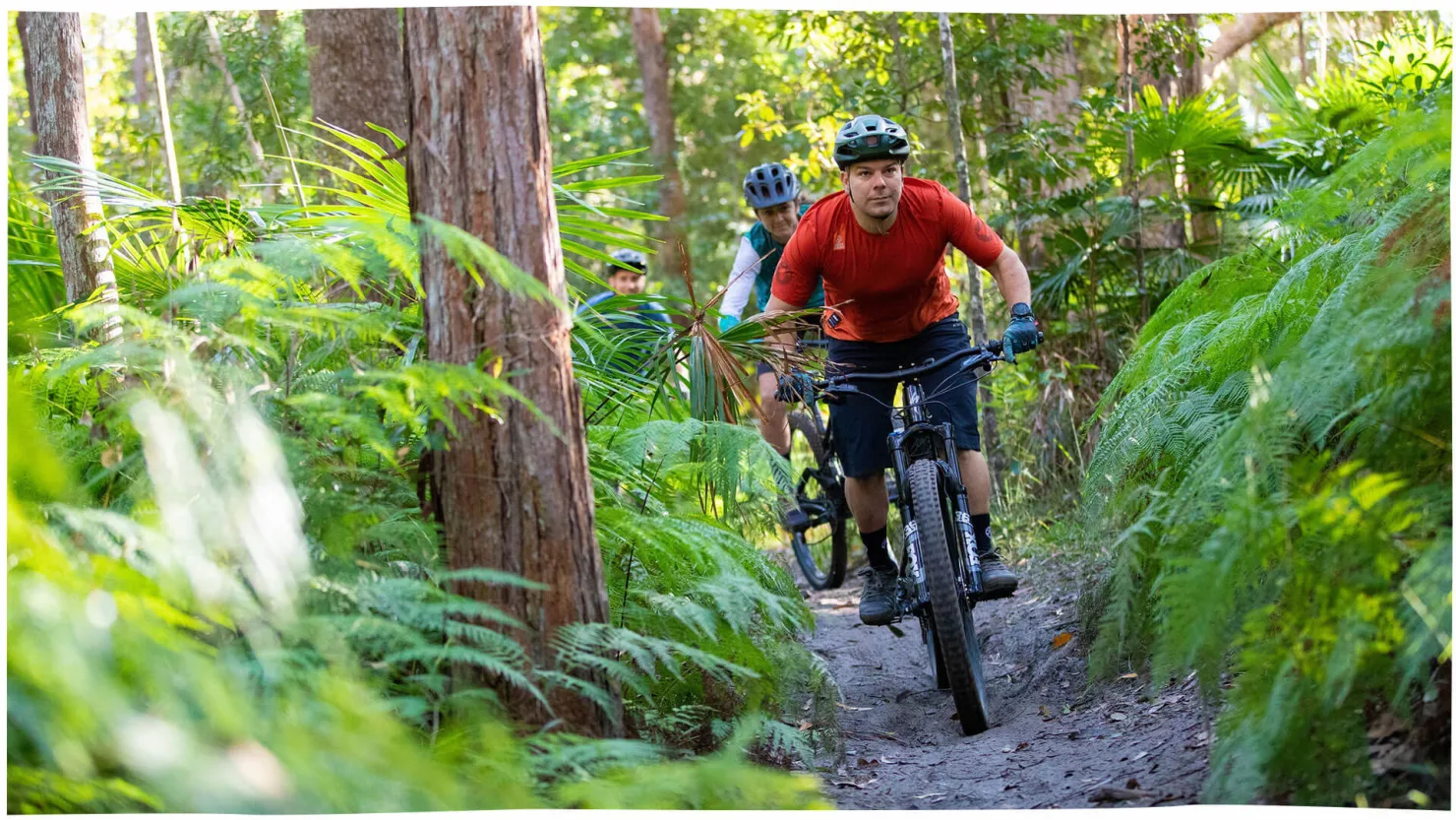 Tewantin National Park Mountain Bike Trails