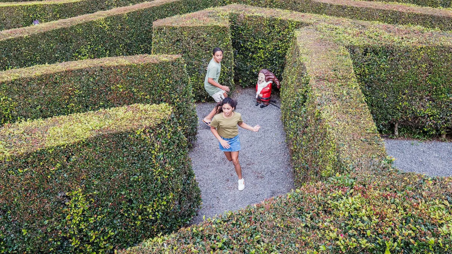 Kids in the maze at Amaze World, Tanawha