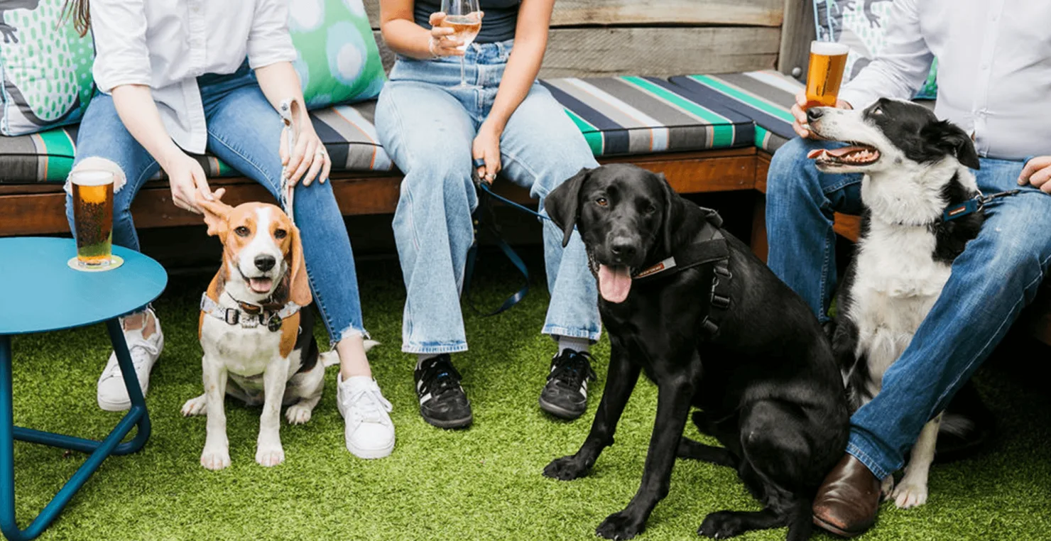 Parklands Tavern Pet-friendly Beer Garden